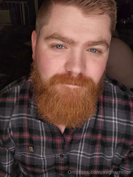 Avghammer art star picture