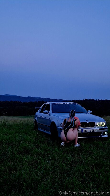 Koblizek Adelka star art pics