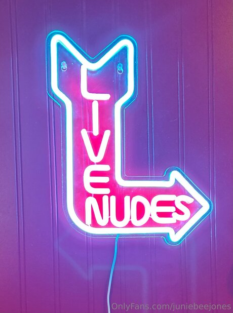 Juniebeejones art star archive