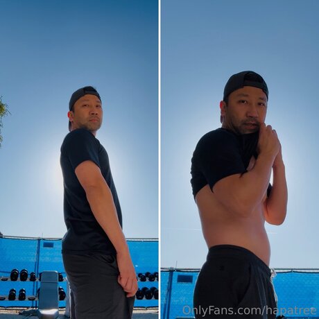 Hapatree model beautiful galleries