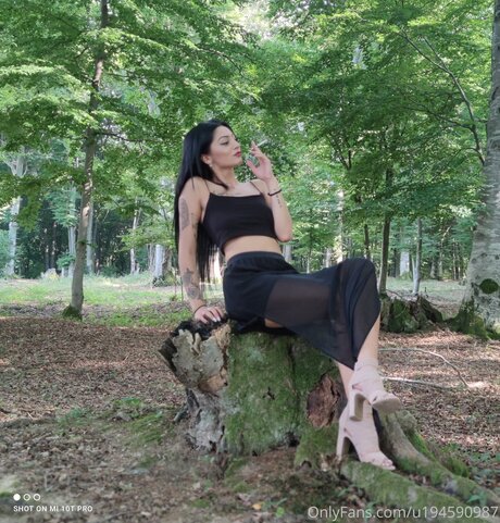 U194590987 star free picture