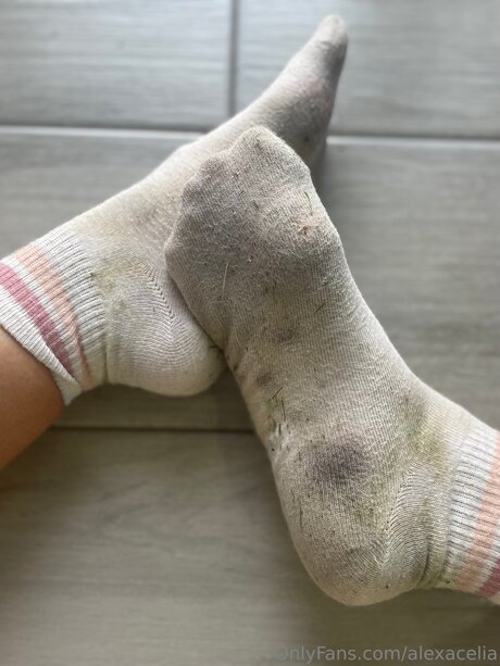 Alexacelia porn star photos