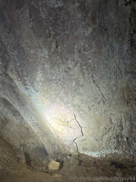 Nordicguy94 pretty actress galleries