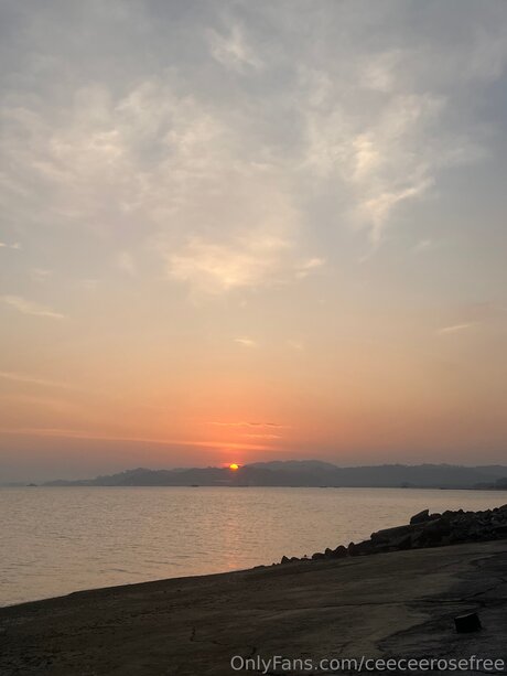 Ceeceerosefree pornstar free image