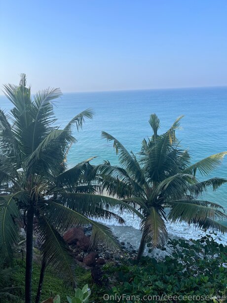 Ceeceerosefree model nudes archive