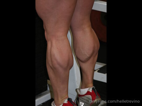 Helletrevino pornstar art picture