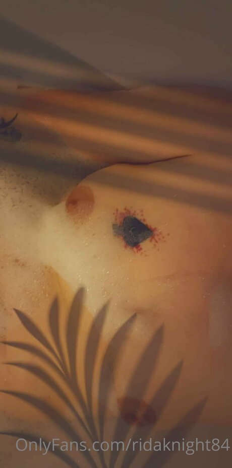 Ridaknight84 art pornstar pictures