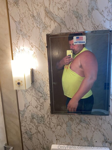 Thebulkinghog star gallery