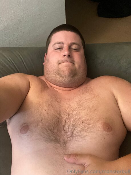 Thebulkinghog star hd archive