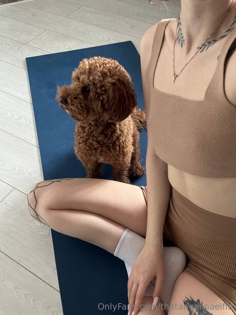 Thatangelinaelfie beautiful actress gallery