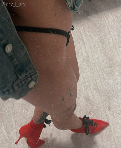 Ary J Ary porn star archive