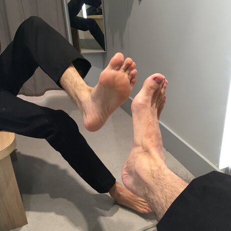 Calsiffer star perfect photos