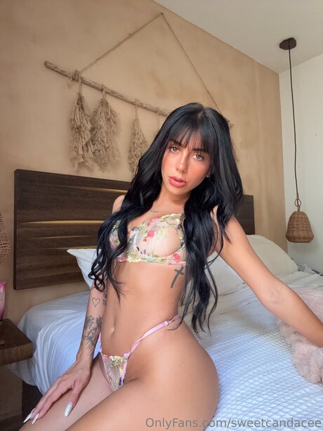 Sweetcandacee pornstar high quality gallery