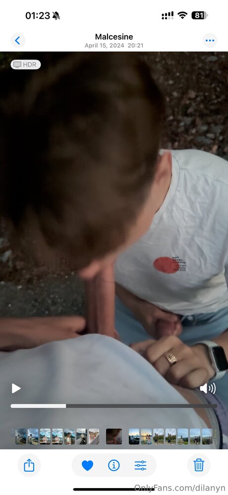 Dilanyn star best images