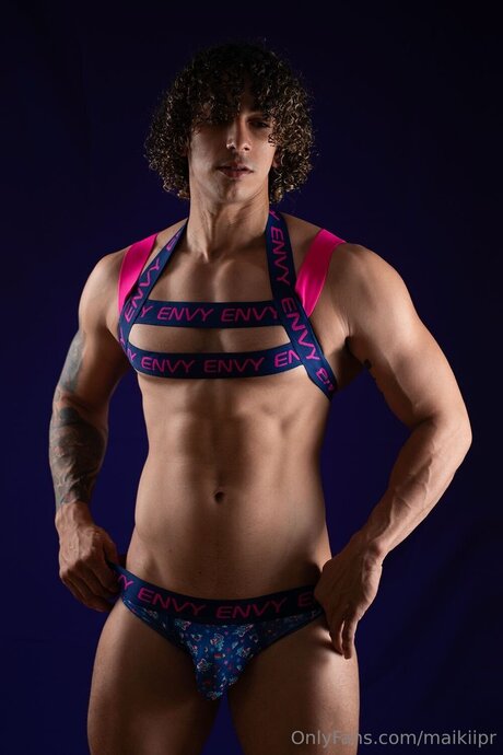 Maikiipr model top img