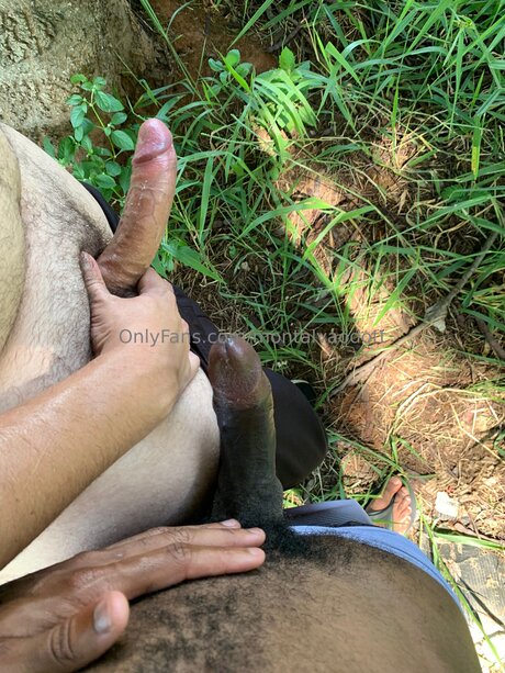 Montalvaodott star perfect pic