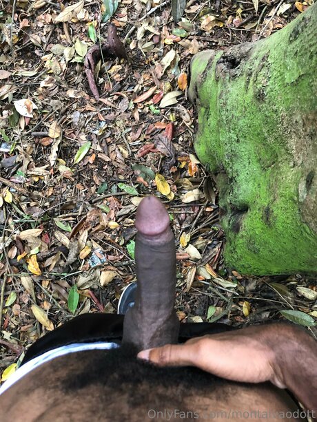 Montalvaodott beautiful model archive