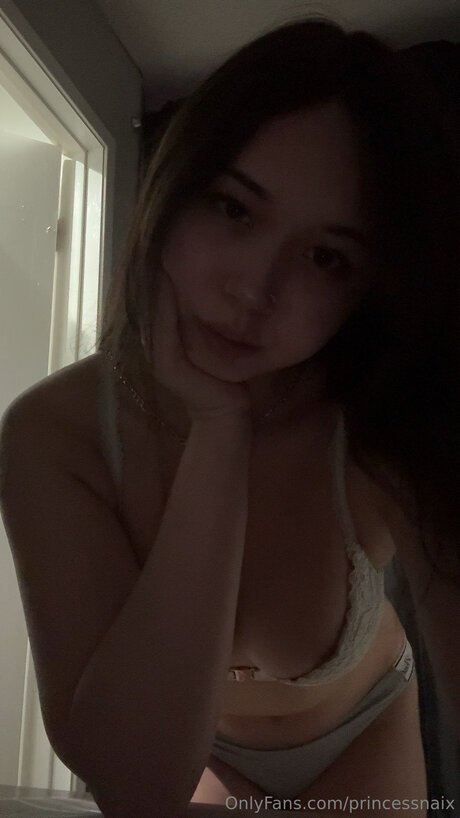 Princessnaix pornographic star pictures