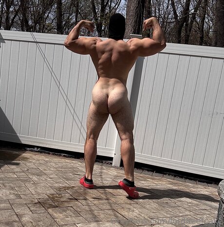 Lordbeefcake hot pornstar photos