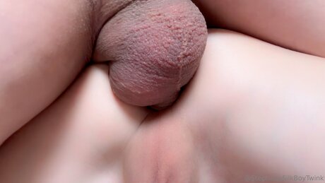 Silkboytwink model pictures