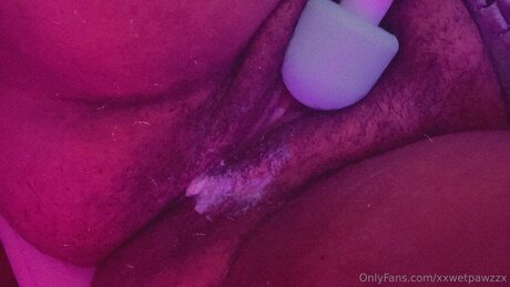 Xxwetpawzzx porn star img