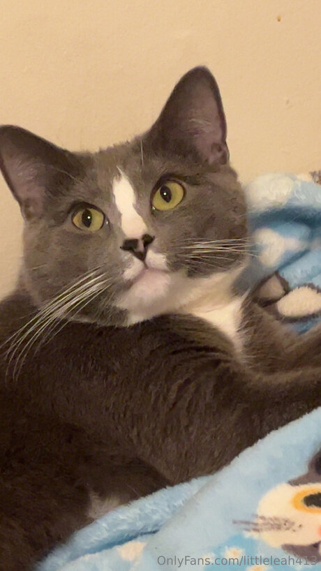 Littleleah413 xxx actress pics