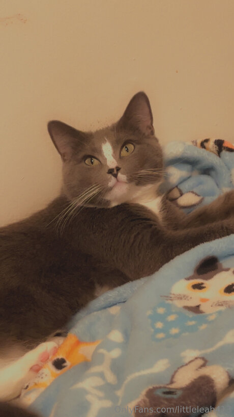 Littleleah413 pretty star pics