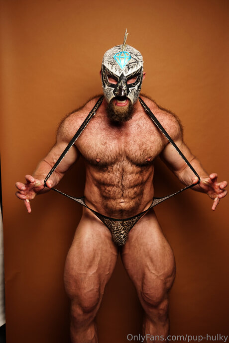 Pup Hulky star hd pics