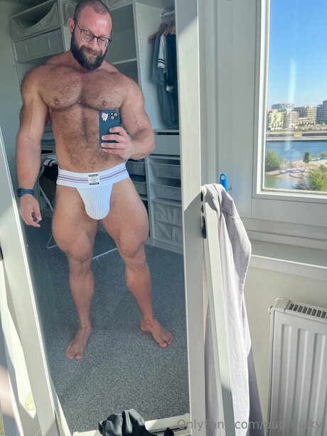 Pup Hulky model nice pictures