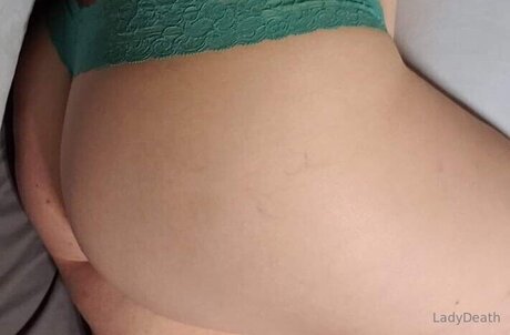 U137557190 star perfect archive