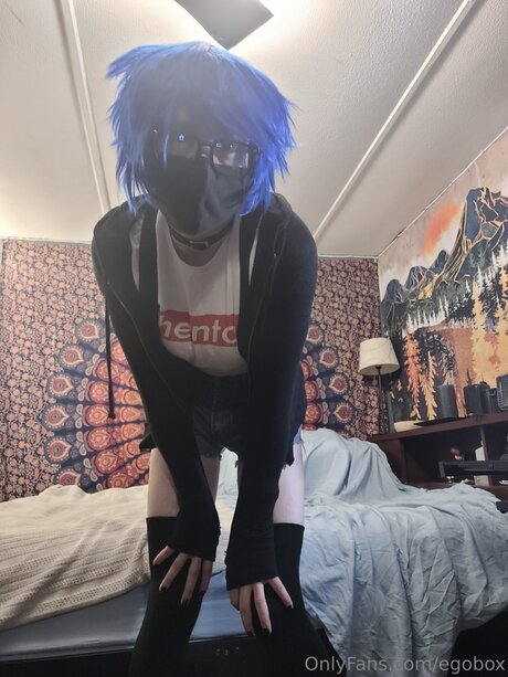 Egobox model best archive