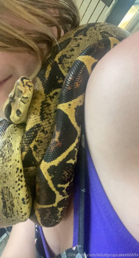 Xsluttycupcakex6669x star exclusive image