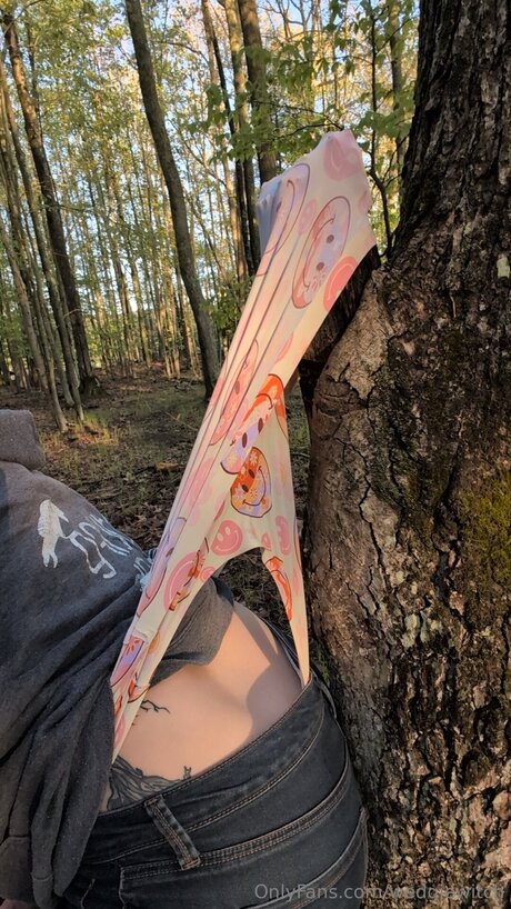 Wedgiewitch actress pictures