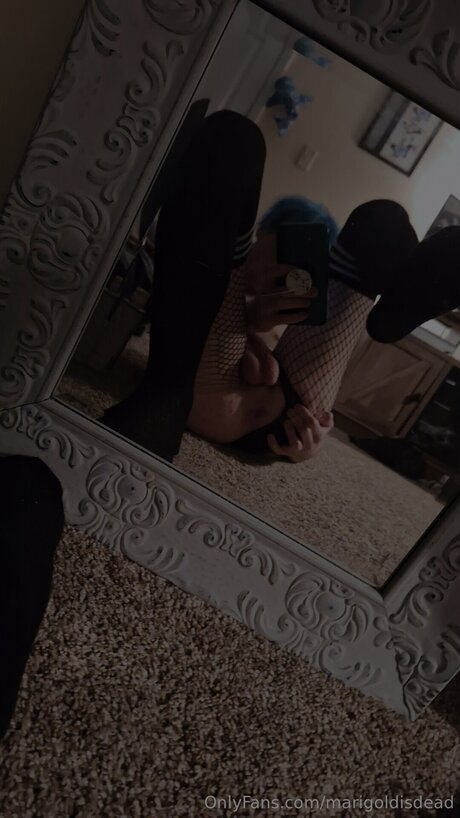 Marigoldisdead beautiful star pictures