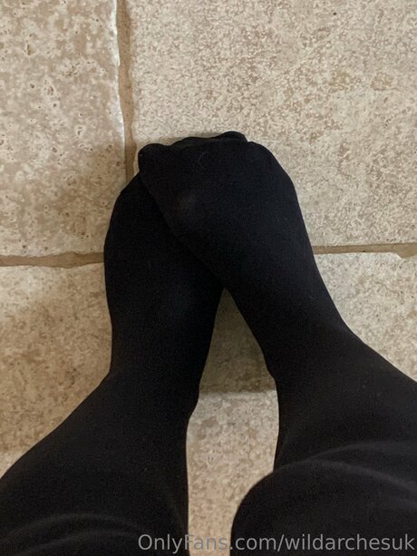 Wildarchesuk Quick model image