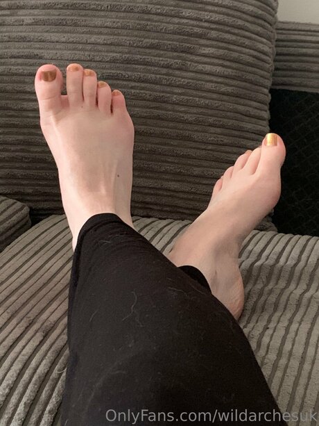 Wildarchesuk star adult archive