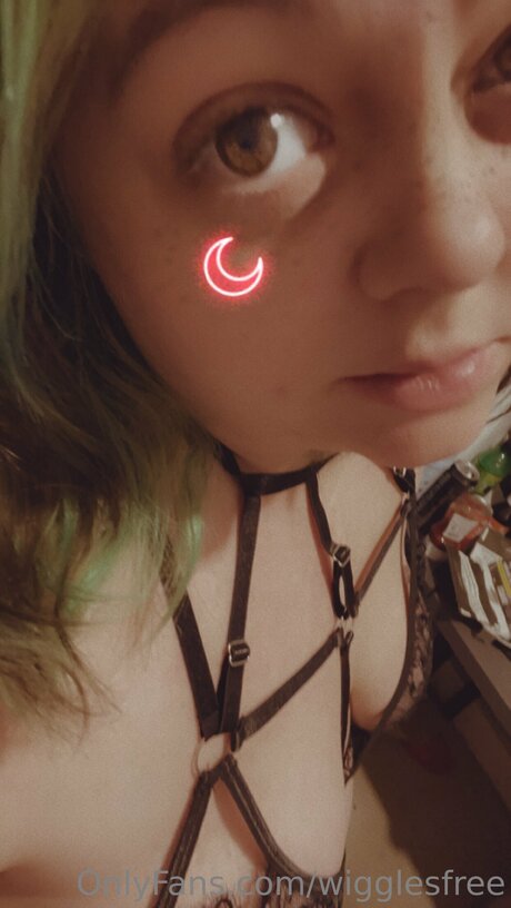 Wigglesfree star nice archive