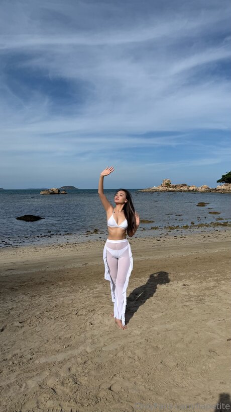 Liapetite high quality model archive