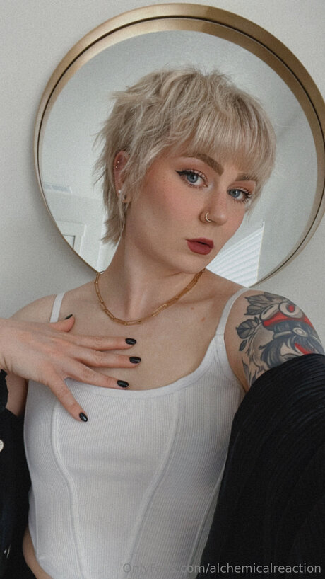 Alchemicalreaction Quick model image