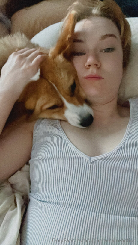 Alchemicalreaction star adult gallery