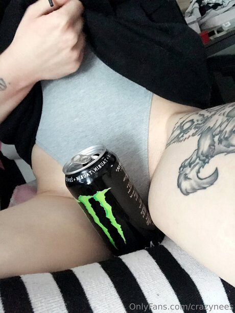 Crazynees pornstar high quality image