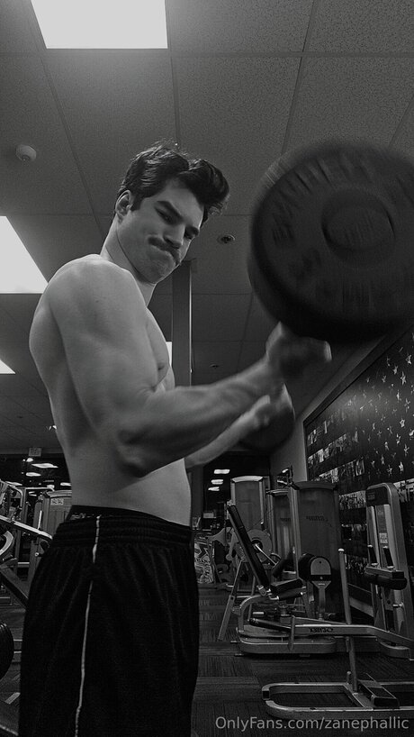 Zanephallic pornstar high quality pictures