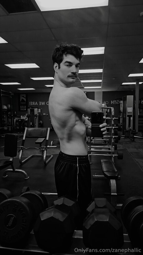 Zanephallic pornographic star images