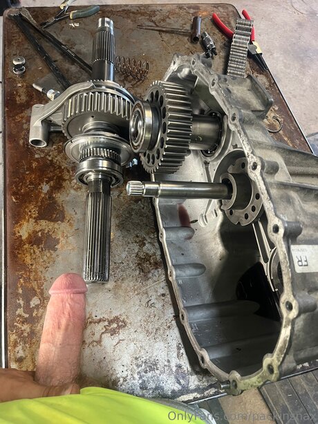 Packinsnax Quick model image