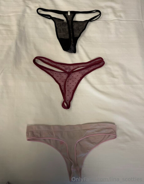 Lina Scotties star art archive