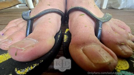 Ladykassmenagerie pornstar pic