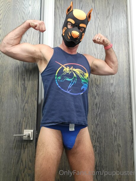 Pupbuster star images