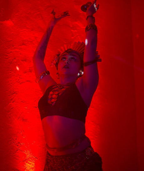 Wanderingcinnamon star pretty photo