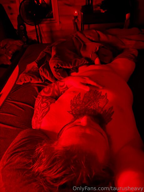 Taurusheavy Quick model image