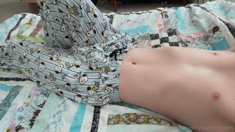 Wagonwheels model top pic